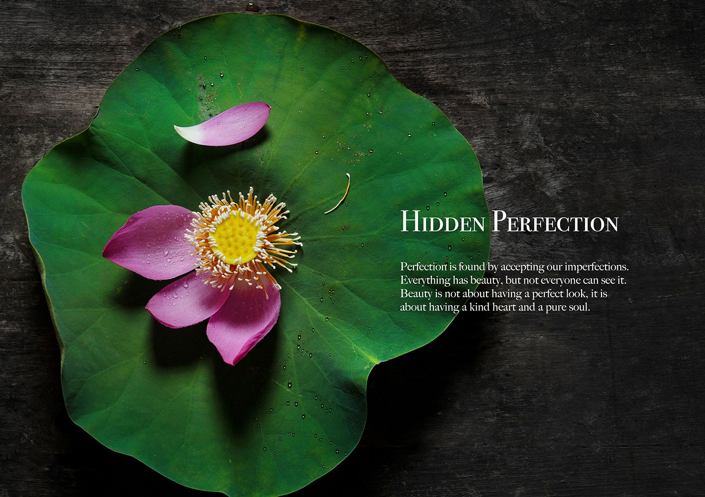 Food Catalogues Design